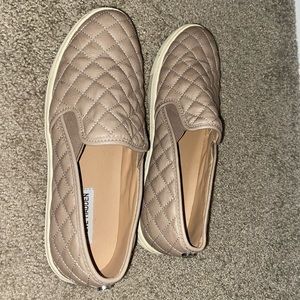 Steve Madden - ECENTRCQ GREY - size 11